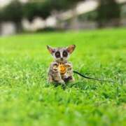 ヒメ日記 2025/08/19 00:42 投稿 河美　ひらり OL精薬