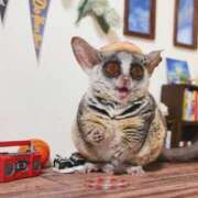 ヒメ日記 2025/08/24 00:45 投稿 河美　ひらり OL精薬