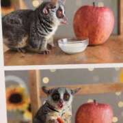 ヒメ日記 2025/08/25 00:12 投稿 河美　ひらり OL精薬