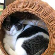 ヒメ日記 2025/08/26 00:36 投稿 河美　ひらり OL精薬