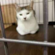 ヒメ日記 2025/08/31 00:09 投稿 河美　ひらり OL精薬