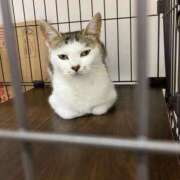 ヒメ日記 2025/08/31 00:42 投稿 河美　ひらり OL精薬