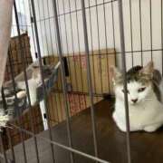 ヒメ日記 2025/09/01 00:36 投稿 河美　ひらり OL精薬