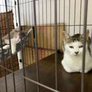 ヒメ日記 2025/09/01 01:12 投稿 河美　ひらり OL精薬