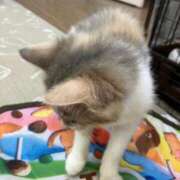 ヒメ日記 2025/09/05 23:27 投稿 河美　ひらり OL精薬