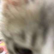 ヒメ日記 2025/09/08 00:27 投稿 河美　ひらり OL精薬