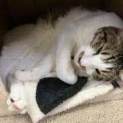 ヒメ日記 2025/09/14 00:57 投稿 河美　ひらり OL精薬