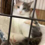 ヒメ日記 2025/09/16 00:36 投稿 河美　ひらり OL精薬