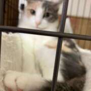 ヒメ日記 2025/09/18 00:30 投稿 河美　ひらり OL精薬