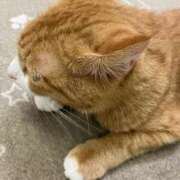 ヒメ日記 2025/09/18 01:06 投稿 河美　ひらり OL精薬