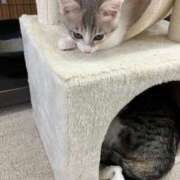 ヒメ日記 2025/09/19 23:12 投稿 河美　ひらり OL精薬