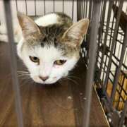 ヒメ日記 2025/09/23 00:18 投稿 河美　ひらり OL精薬