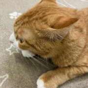 ヒメ日記 2025/09/27 01:00 投稿 河美　ひらり OL精薬