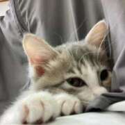 ヒメ日記 2025/09/28 00:12 投稿 河美　ひらり OL精薬