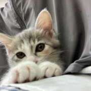 ヒメ日記 2025/10/04 00:15 投稿 河美　ひらり OL精薬