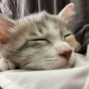 ヒメ日記 2025/10/05 01:09 投稿 河美　ひらり OL精薬