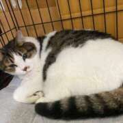 ヒメ日記 2025/10/14 00:21 投稿 河美　ひらり OL精薬