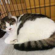 ヒメ日記 2025/10/14 00:48 投稿 河美　ひらり OL精薬