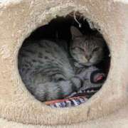 ヒメ日記 2025/10/18 00:15 投稿 河美　ひらり OL精薬