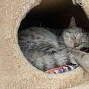 ヒメ日記 2025/10/18 01:36 投稿 河美　ひらり OL精薬