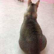 ヒメ日記 2025/10/18 23:30 投稿 河美　ひらり OL精薬