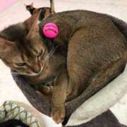 ヒメ日記 2025/10/21 01:42 投稿 河美　ひらり OL精薬