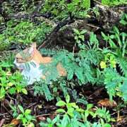 ヒメ日記 2025/10/26 00:18 投稿 河美　ひらり OL精薬