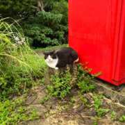 ヒメ日記 2025/10/27 00:03 投稿 河美　ひらり OL精薬