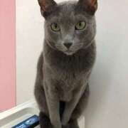 ヒメ日記 2025/10/30 00:33 投稿 河美　ひらり OL精薬