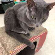 ヒメ日記 2025/11/16 22:33 投稿 河美　ひらり OL精薬