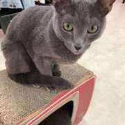 ヒメ日記 2025/11/16 23:03 投稿 河美　ひらり OL精薬