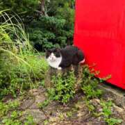 ヒメ日記 2025/11/23 01:03 投稿 河美　ひらり OL精薬