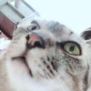 ヒメ日記 2025/11/24 01:03 投稿 河美　ひらり OL精薬