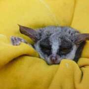 ヒメ日記 2025/12/01 01:03 投稿 河美　ひらり OL精薬