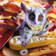 ヒメ日記 2025/12/15 01:03 投稿 河美　ひらり OL精薬