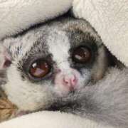 ヒメ日記 2025/12/28 00:33 投稿 河美　ひらり OL精薬