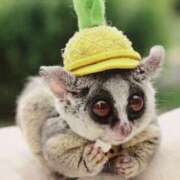 ヒメ日記 2025/12/28 01:33 投稿 河美　ひらり OL精薬