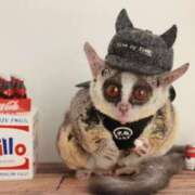 ヒメ日記 2025/12/29 01:33 投稿 河美　ひらり OL精薬