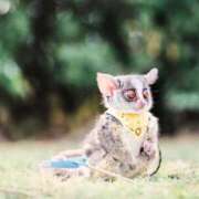 ヒメ日記 2026/01/05 01:33 投稿 河美　ひらり OL精薬