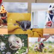 ヒメ日記 2026/01/06 01:33 投稿 河美　ひらり OL精薬