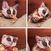 ヒメ日記 2026/01/06 02:18 投稿 河美　ひらり OL精薬