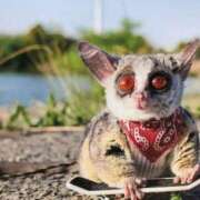 ヒメ日記 2026/01/15 01:18 投稿 河美　ひらり OL精薬