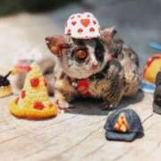 ヒメ日記 2026/01/18 00:09 投稿 河美　ひらり OL精薬