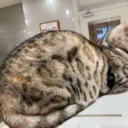 ヒメ日記 2026/01/26 02:09 投稿 河美　ひらり OL精薬