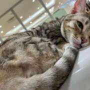 ヒメ日記 2026/01/31 00:33 投稿 河美　ひらり OL精薬