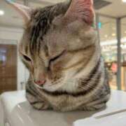 ヒメ日記 2026/02/04 00:39 投稿 河美　ひらり OL精薬