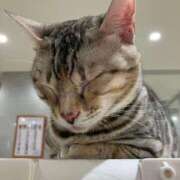 ヒメ日記 2026/02/04 01:12 投稿 河美　ひらり OL精薬