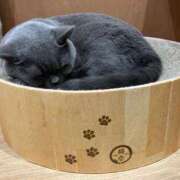 ヒメ日記 2026/02/08 01:33 投稿 河美　ひらり OL精薬