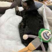 ヒメ日記 2026/02/18 00:35 投稿 河美　ひらり OL精薬