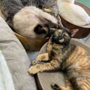 ヒメ日記 2026/02/23 00:45 投稿 河美　ひらり OL精薬